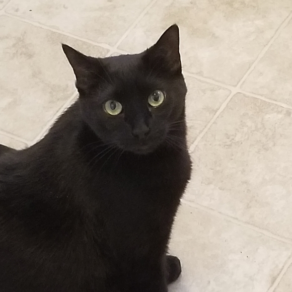 Meet your Posher, Sunshine - Picture 9 of 9